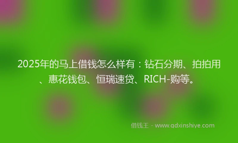 2025年的马上借钱怎么样有：钻石分期、拍拍用、惠花钱包、恒瑞速贷、RICH-购等。
