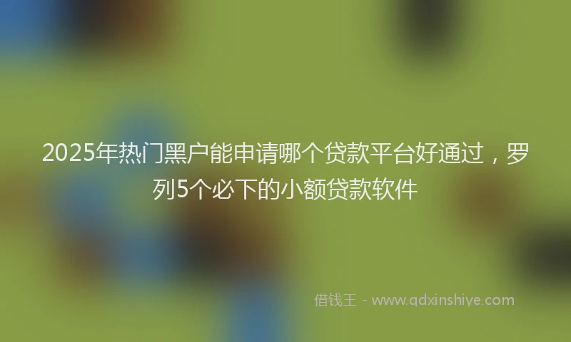 2025年热门黑户能申请哪个贷款平台好通过，罗列5个必下的小额贷款软件