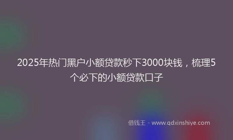 2025年热门黑户小额贷款秒下3000块钱，梳理5个必下的小额贷款口子