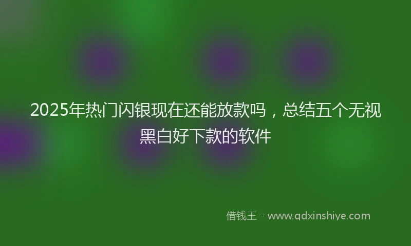2025年热门闪银现在还能放款吗，总结五个无视黑白好下款的软件