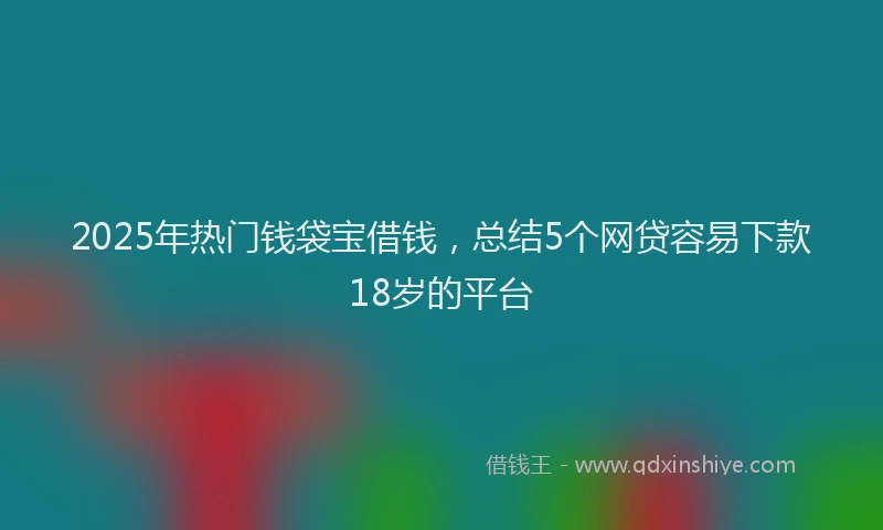 2025年热门钱袋宝借钱，总结5个网贷容易下款18岁的平台