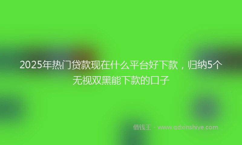 2025年热门贷款现在什么平台好下款，归纳5个无视双黑能下款的口子