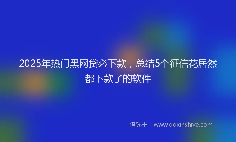 2025年热门黑网贷必下款，总结5个征信花居然都下款了的软件