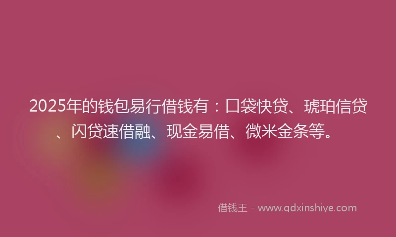 2025年的钱包易行借钱有：口袋快贷、琥珀信贷、闪贷速借融、现金易借、微米金条等。