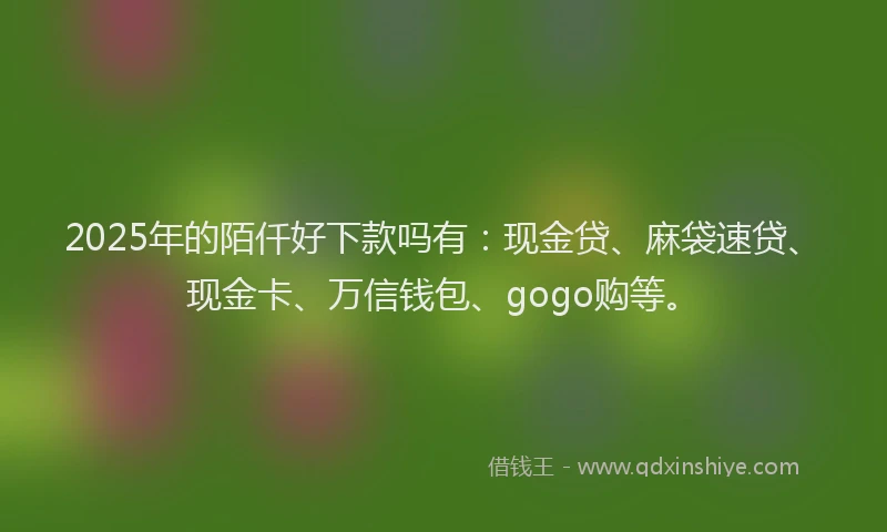 2025年的陌仟好下款吗有：现金贷、麻袋速贷、现金卡、万信钱包、gogo购等。