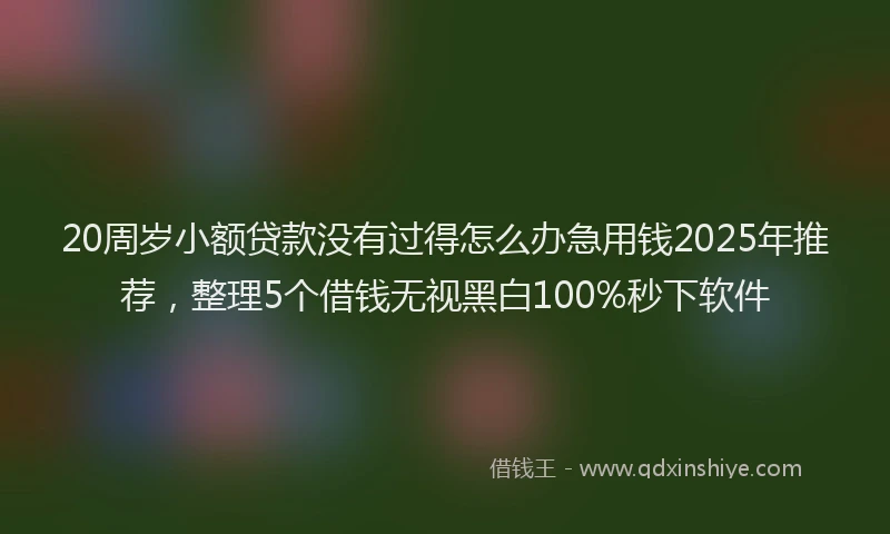 20周岁小额贷款没有过得怎么办急用钱2025年推荐，整理5个借钱无视黑白100%秒下软件