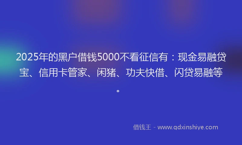 2025年的黑户借钱5000不看征信有：现金易融贷宝、信用卡管家、闲猪、功夫快借、闪贷易融等。