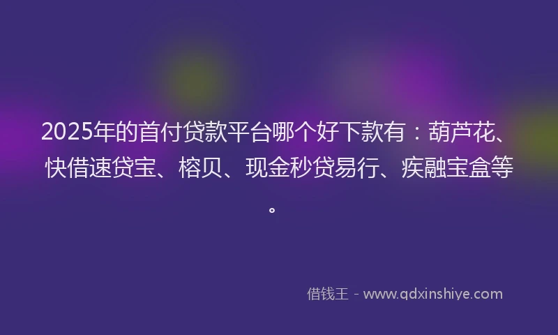 2025年的首付贷款平台哪个好下款有：葫芦花、快借速贷宝、榕贝、现金秒贷易行、疾融宝盒等。