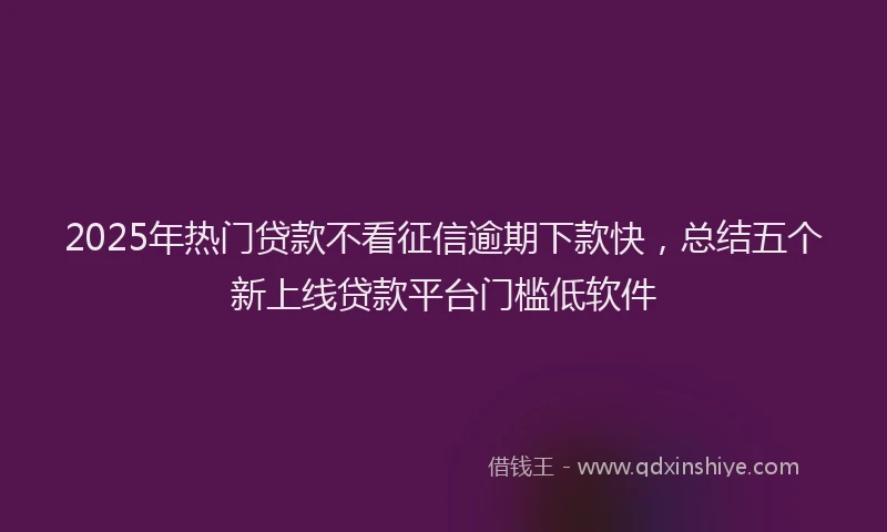 2025年热门贷款不看征信逾期下款快，总结五个新上线贷款平台门槛低软件