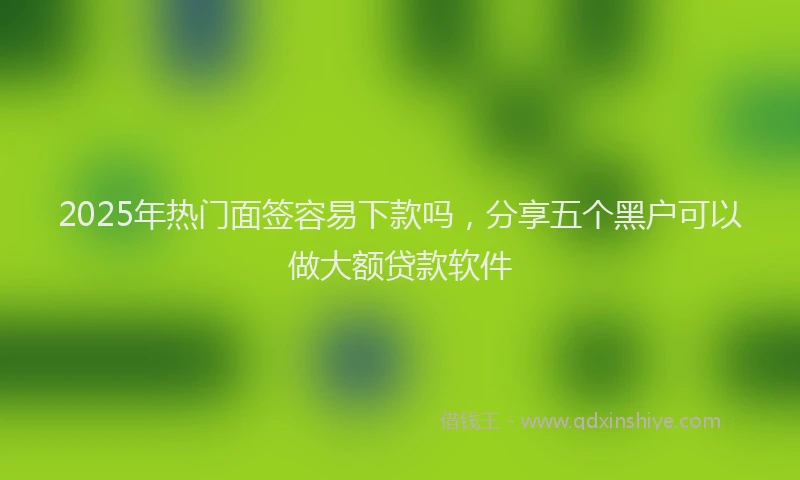2025年热门面签容易下款吗，分享五个黑户可以做大额贷款软件