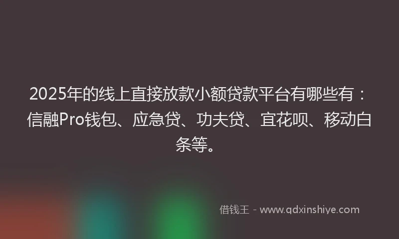 2025年的线上直接放款小额贷款平台有哪些有：信融Pro钱包、应急贷、功夫贷、宜花呗、移动白条等。