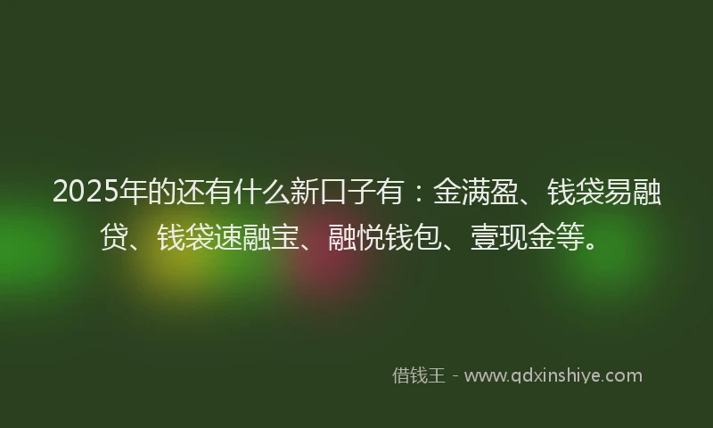2025年的还有什么新口子有：金满盈、钱袋易融贷、钱袋速融宝、融悦钱包、壹现金等。