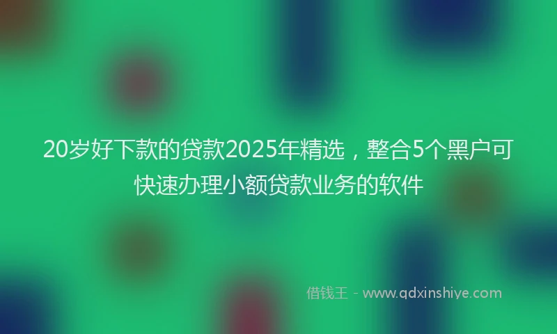 20岁好下款的贷款2025年精选，整合5个黑户可快速办理小额贷款业务的软件