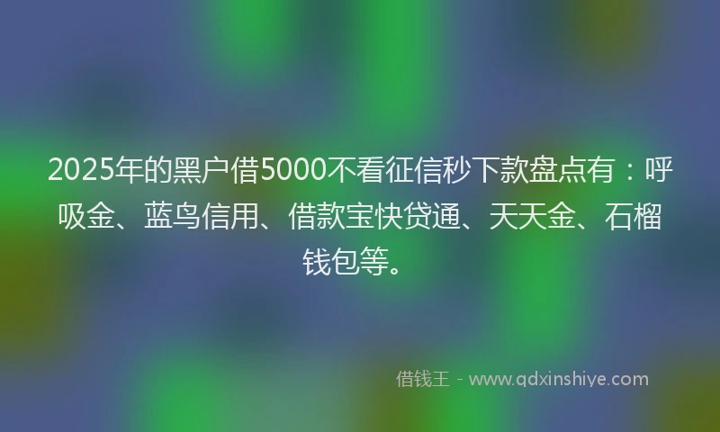 2025年的黑户借5000不看征信秒下款盘点有：呼吸金、蓝鸟信用、借款宝快贷通、天天金、石榴钱包等。