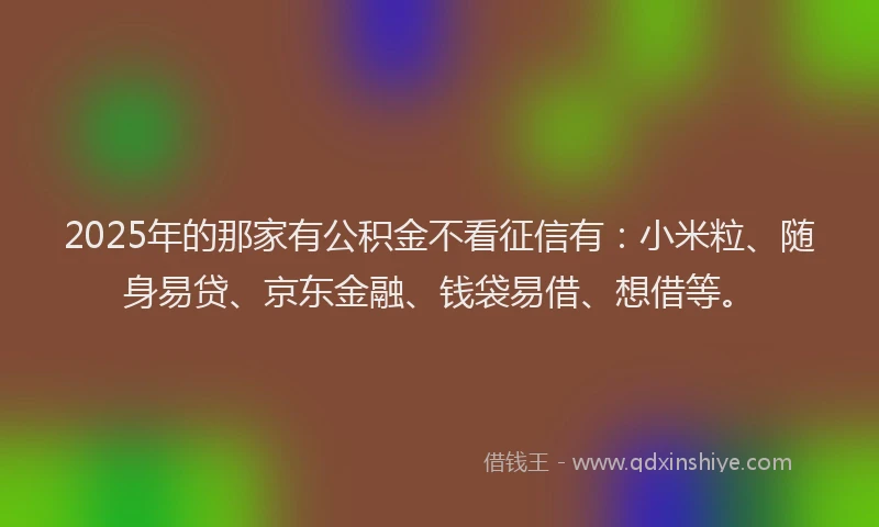 2025年的那家有公积金不看征信有：小米粒、随身易贷、京东金融、钱袋易借、想借等。