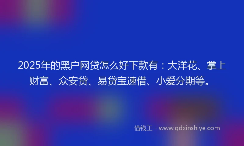 2025年的黑户网贷怎么好下款有：大洋花、掌上财富、众安贷、易贷宝速借、小爱分期等。