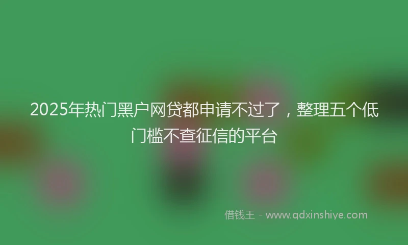 2025年热门黑户网贷都申请不过了，整理五个低门槛不查征信的平台