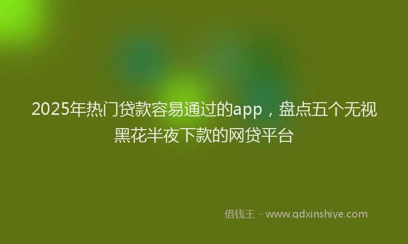 2025年热门贷款容易通过的app，盘点五个无视黑花半夜下款的网贷平台