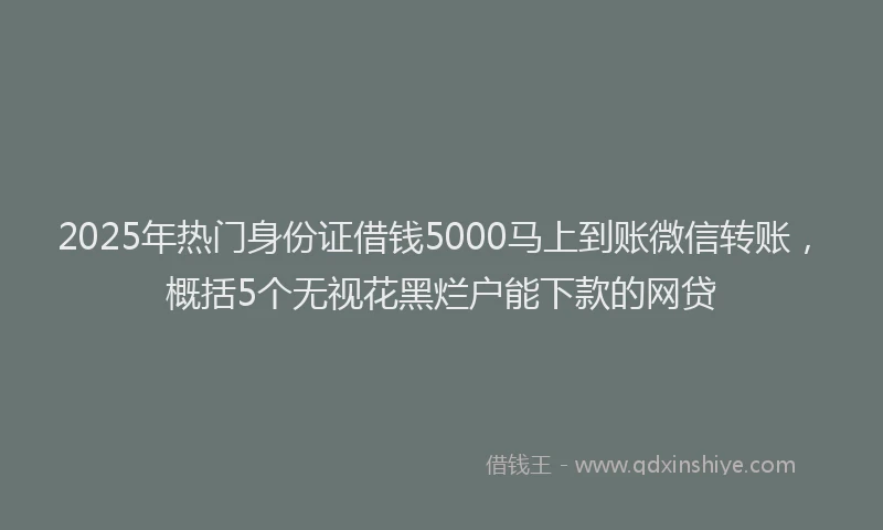 2025年热门身份证借钱5000马上到账微信转账，概括5个无视花黑烂户能下款的网贷
