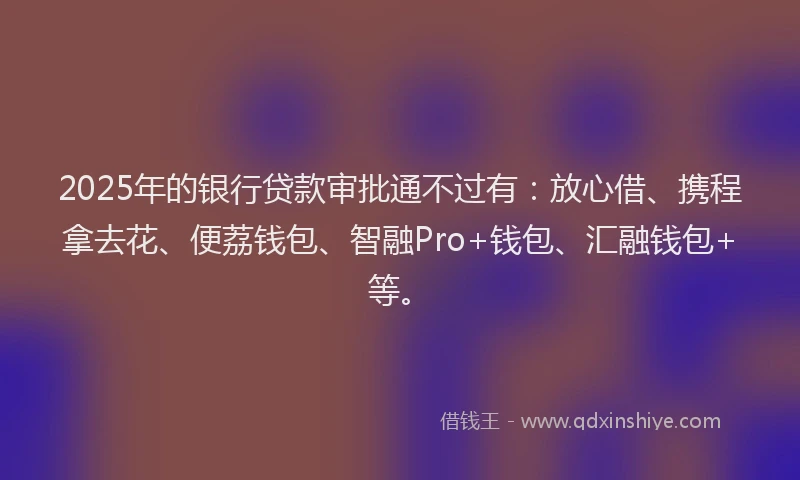 2025年的银行贷款审批通不过有：放心借、携程拿去花、便荔钱包、智融Pro+钱包、汇融钱包+等。