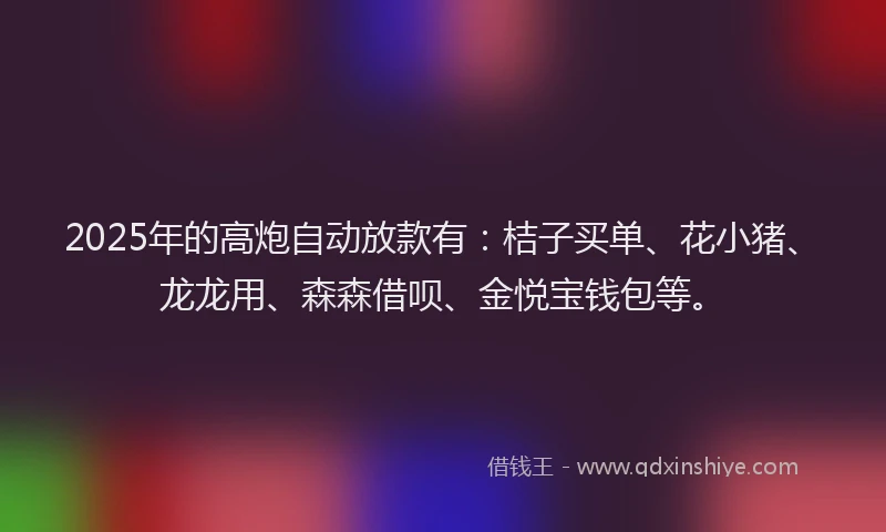 2025年的高炮自动放款有：桔子买单、花小猪、龙龙用、森森借呗、金悦宝钱包等。