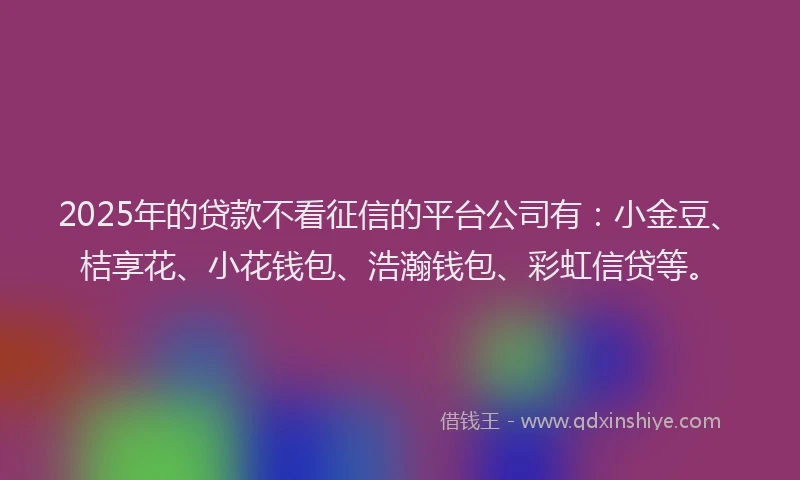 2025年的贷款不看征信的平台公司有：小金豆、桔享花、小花钱包、浩瀚钱包、彩虹信贷等。