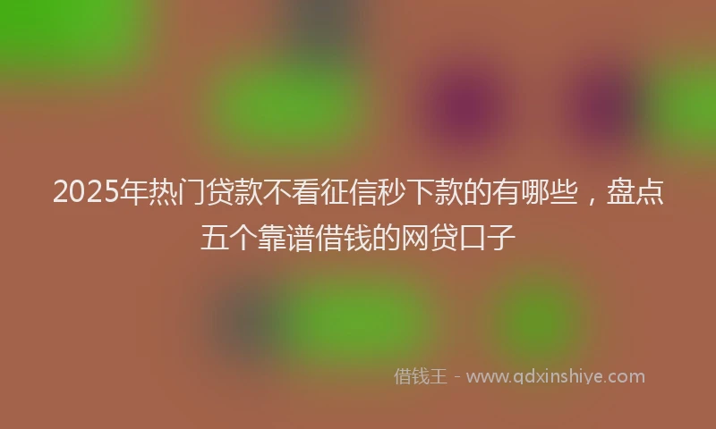 2025年热门贷款不看征信秒下款的有哪些，盘点五个靠谱借钱的网贷口子