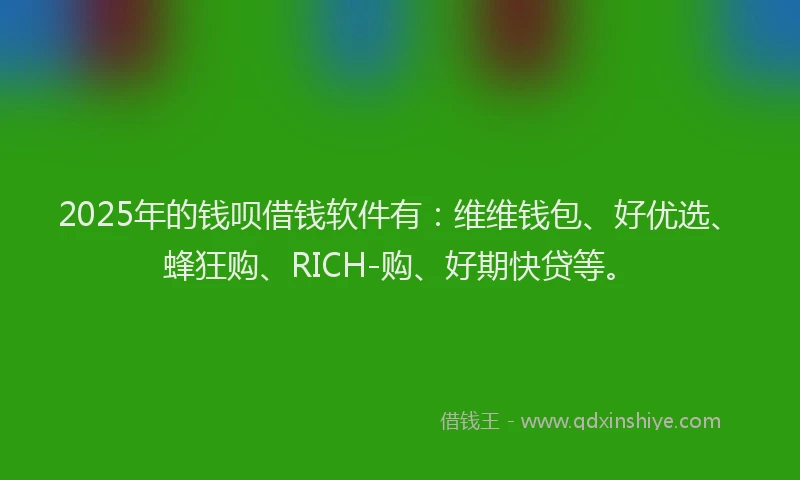 2025年的钱呗借钱软件有：维维钱包、好优选、蜂狂购、RICH-购、好期快贷等。