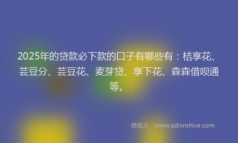 2025年的贷款必下款的口子有哪些有：桔享花、芸豆分、芸豆花、麦芽贷、享下花、森森借呗通等。