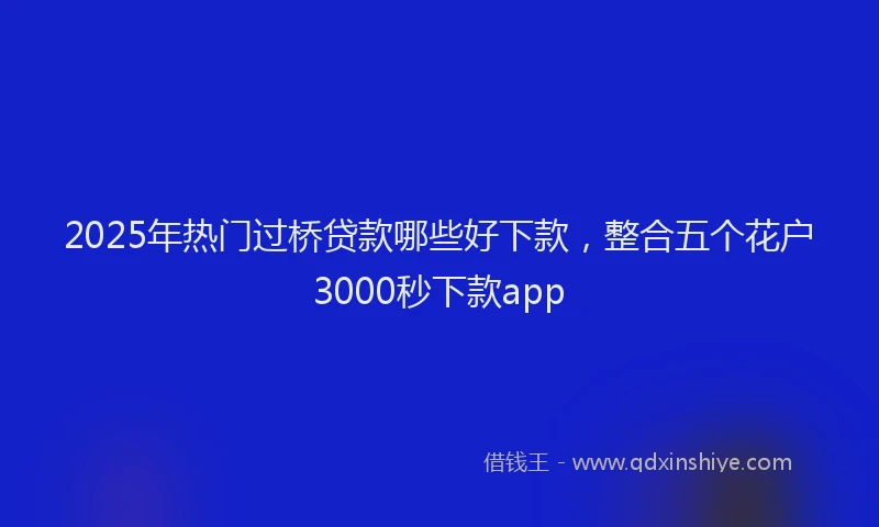 2025年热门过桥贷款哪些好下款，整合五个花户3000秒下款app