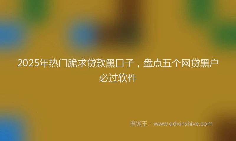 2025年热门跪求贷款黑口子，盘点五个网贷黑户必过软件