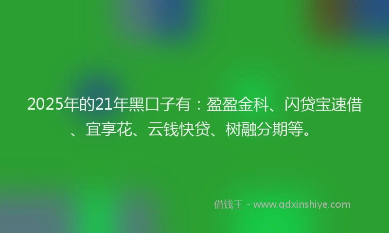 2025年的21年黑口子有：盈盈金科、闪贷宝速借、宜享花、云钱快贷、树融分期等。