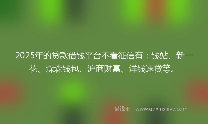 2025年的贷款借钱平台不看征信有：钱站、新一花、森森钱包、沪商财富、洋钱速贷等。