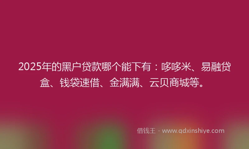 2025年的黑户贷款哪个能下有：哆哆米、易融贷盒、钱袋速借、金满满、云贝商城等。