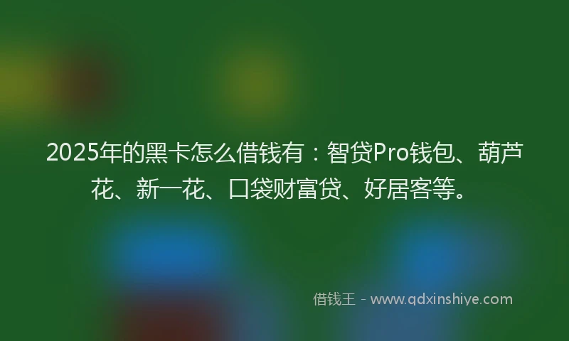 2025年的黑卡怎么借钱有：智贷Pro钱包、葫芦花、新一花、口袋财富贷、好居客等。