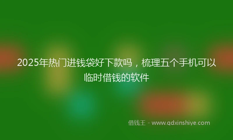 2025年热门进钱袋好下款吗，梳理五个手机可以临时借钱的软件