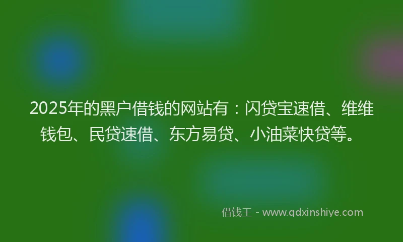 2025年的黑户借钱的网站有：闪贷宝速借、维维钱包、民贷速借、东方易贷、小油菜快贷等。