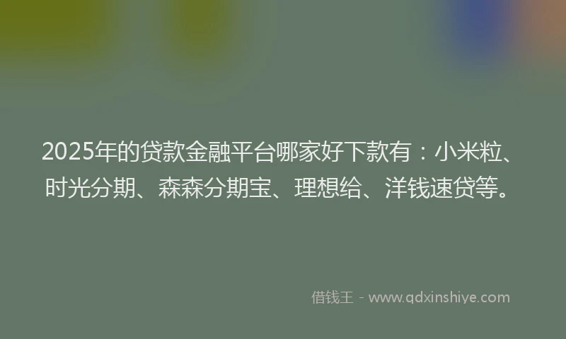 2025年的贷款金融平台哪家好下款有：小米粒、时光分期、森森分期宝、理想给、洋钱速贷等。