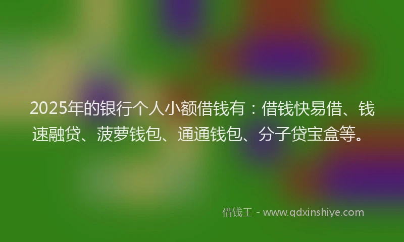 2025年的银行个人小额借钱有：借钱快易借、钱速融贷、菠萝钱包、通通钱包、分子贷宝盒等。