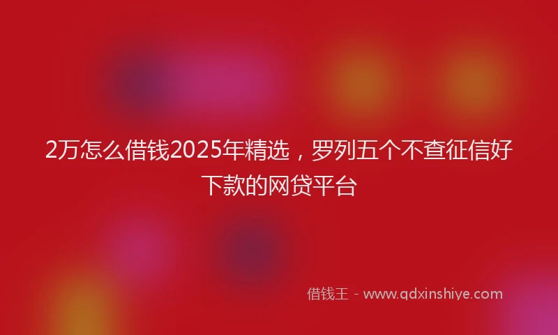2万怎么借钱2025年精选，罗列五个不查征信好下款的网贷平台