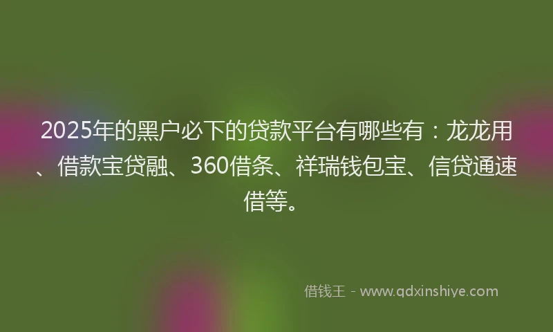 2025年的黑户必下的贷款平台有哪些有：龙龙用、借款宝贷融、360借条、祥瑞钱包宝、信贷通速借等。