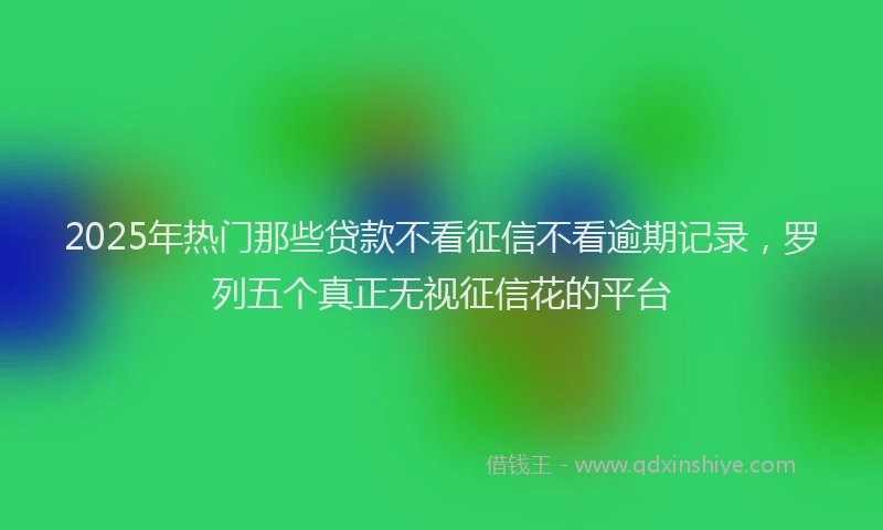2025年热门那些贷款不看征信不看逾期记录，罗列五个真正无视征信花的平台