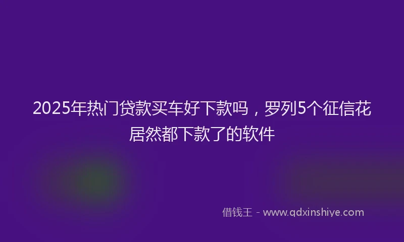 2025年热门贷款买车好下款吗，罗列5个征信花居然都下款了的软件