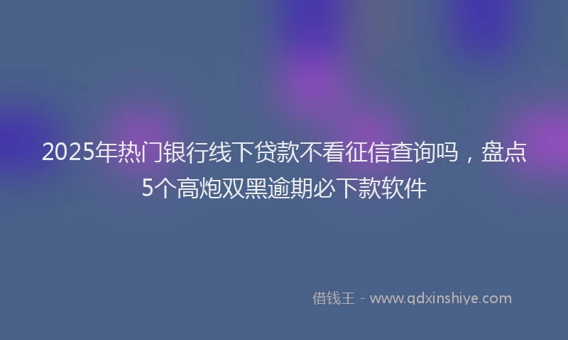 2025年热门银行线下贷款不看征信查询吗，盘点5个高炮双黑逾期必下款软件