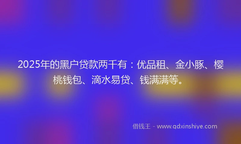 2025年的黑户贷款两千有：优品租、金小豚、樱桃钱包、滴水易贷、钱满满等。
