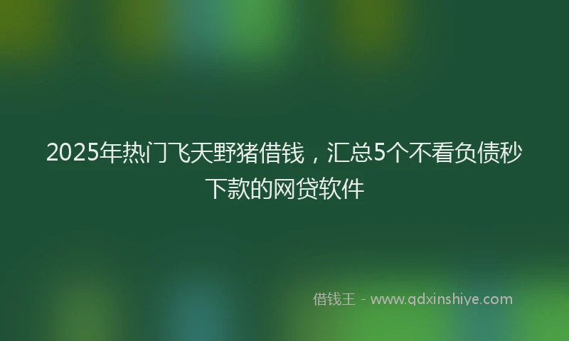 2025年热门飞天野猪借钱，汇总5个不看负债秒下款的网贷软件