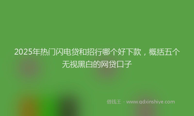 2025年热门闪电贷和招行哪个好下款，概括五个无视黑白的网贷口子
