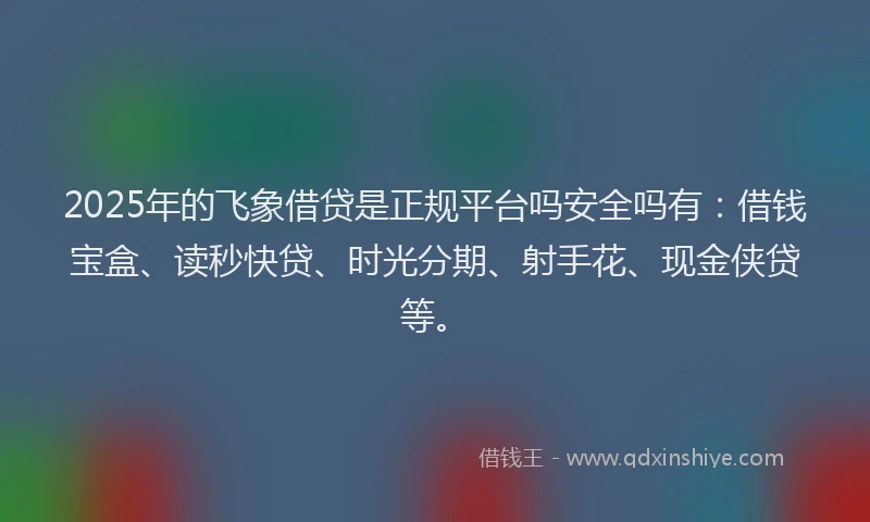 2025年的飞象借贷是正规平台吗安全吗有：借钱宝盒、读秒快贷、时光分期、射手花、现金侠贷等。