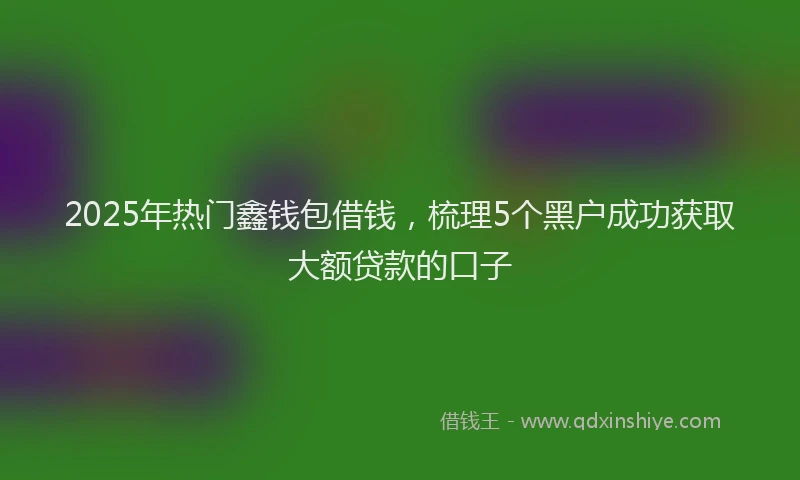 2025年热门鑫钱包借钱，梳理5个黑户成功获取大额贷款的口子