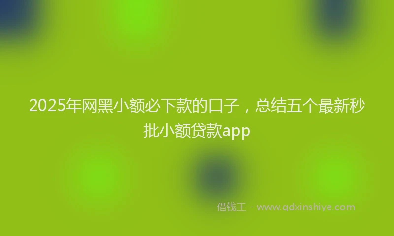 2025年网黑小额必下款的口子，总结五个最新秒批小额贷款app
